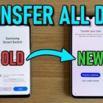 How to Transfer Data From an Old Phone to a New One